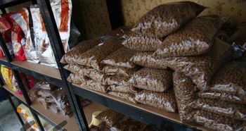 三好街五里河街沈音东门宠物店 您的宠物生活一站式服务专家